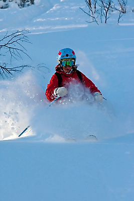 포토 JPG 해외이미지 나무 라이프스타일 행복 스포츠 여행 포즈 겨울 모션 하늘 휴가 스키 휴식 산 한명 사람 성인 취미 파란색 운동 태양 여행객 기쁨 추위 자유 흰색 묘기 가루 속도 무료 선로 프리스타일 해외202004 해외포토 자연요소 식물 1 계절 감정 컬러 컨셉 겨울스포츠 건강 생활 파일형식 이미지허브
