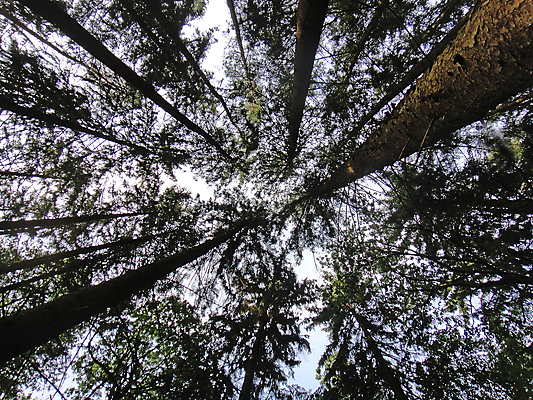 포토 JPG 해외이미지 나무 식물 구름 바다 섬 여행 태국 자연 하늘 날씨 안테나 파노라마 풍경 사람없음 야외 목재 초록색 물 여름 파란색 강 마을 환경 놀람 시골 입 정상 숲 땅 머리위 장면 남쪽 내추럴 넘어짐 우수 해외202004 해외포토 자연요소 계절 감정 아시아 컬러 재료 통신 모션 촬영기법 표정 신체부위 방향 절기 생태계 파일형식 이미지허브