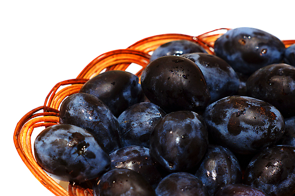 포토 JPG 해외이미지 계절 음식 다이어트 과일 디저트 건강 사람없음 여름 파란색 바구니 정원 보라색 수확 가을 신선 그룹 선택 달콤 먹기 순수 유기농 원예 날것 자두 고립 숙성 식용 채식주의자 해외202004 해외포토 웰빙 컬러 컨셉 농업 모션 취미 맛 채식 파일형식 이미지허브