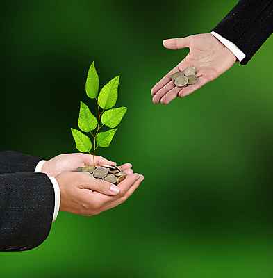 포토 JPG 해외이미지 나무 식물 손 여자 컨셉 잎 돈 비즈니스 자연 사람없음 초록색 금융 새싹 환경 동전 유로 성장 비즈니스맨 재산 보호 발자국 투자 상업 기부 개발 모종 묘목 생태학 승인 심기 유칼립투스 자금 정부 투자자 해외202004 해외포토 교육 남자 컬러 자국 모션 사람 신체부위 경제 직장인 생태계 파일형식 이미지허브