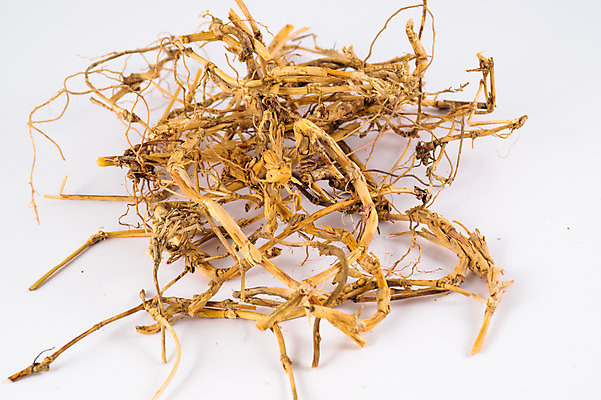 포토 JPG 해외이미지 식물 꽃잎 꽃 분홍색 백그라운드 꽃무늬 오렌지 자연 건조 건강 사람없음 야외 초록색 건강관리 정원 보라색 센터 닫기 정상 허브 묘사 유기농 원예 꽃가루 동쪽 고슴도치 보충 면역력 영원 치유 해외202004 해외포토 웰빙 컬러 무늬 과일 포유류 모션 관리 취미 가루 방향 생태계 파일형식 이미지허브