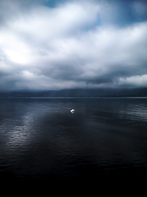 포토 JPG 해외이미지 동물 실루엣 호수 야생동물 백그라운드 겨울 날개 자연 조류 풍경 사람없음 물 반사 평화 침묵 봄 이탈리아 흰색 연못 우아함 심볼 백조 내추럴 고립 단아함 해외202004 해외포토 자연요소 계절 유럽 컬러 컨셉 촬영기법 소리 생태계 파일형식 이미지허브