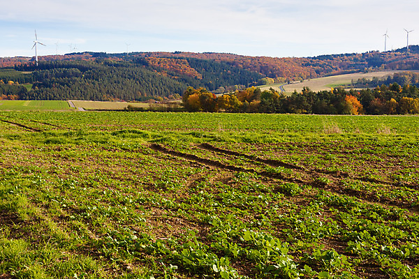 포토 JPG 해외이미지 계절 유럽 지구 밭 농업 자연 하늘 바람 독일 풍경 사람없음 야외 초록색 농장 농경지 환경 탑 힘 흙 풍차 발전기 에너지 가을 흰색 시골 숲 땅 생태계 먼지 방앗간 땅바닥 밭일 세련 해외202004 해외포토 자연요소 건축물 나라 산업 컬러 날씨 바닥 발전소 파일형식 이미지허브