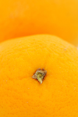 포토 JPG 해외이미지 음식 농업 다이어트 오렌지 과일 건강 사람없음 신선 원형 달콤 내추럴 해외202004 해외포토 도형 산업 맛 파일형식 이미지허브