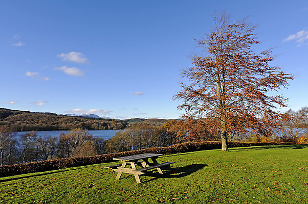 포토 JPG 해외이미지 나무 호수 자연 하늘 영국 잉글랜드 산 풍경 사람없음 초록색 파란색 가을 시골 컴브리아주 해외202004 해외포토 식물 계절 유럽 컬러 생태계 파일형식 이미지허브