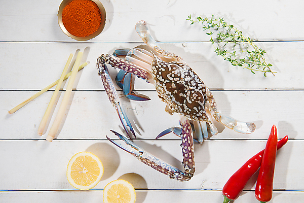 포토 JPG 해외이미지 동물 접시 꽃 음식 바다 백그라운드 채소 고추 탁자 생물 건강 요리 사람없음 목재 빨간색 파란색 식당 식사 저녁식사 게 껍질 흰색 신선 시장 맛 널 정상 먹기 허브 해산물 책상 메인 준비 날것 슛 머리위 성분 집게발 생존 해외202004 해외포토 나무 식물 식기 컬러 가구 컨셉 재료 모션 갑각류 상점 파일형식 이미지허브