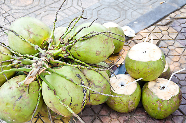 포토 JPG 해외이미지 음료 음식 백그라운드 다이어트 과일 자연 건강 동양인 사람없음 초록색 물 주스 우유 껍질 흰색 신선 원형 맛 먹기 코코넛 내추럴 해외202004 해외포토 자연요소 도형 컬러 컨셉 모션 유제품 인종 생태계 파일형식 이미지허브