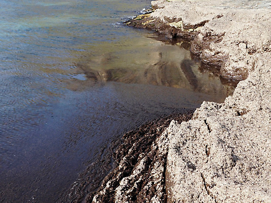 포토 JPG 해외이미지 물결 파도 바다 백그라운드 자연 하늘 표면 풍경 사람없음 물 파란색 빛 햇빛 태양 수중 고요 액체 아래 다이빙 깊이 해외202004 해외포토 자연요소 컬러 수영 방향 생태계 위치 수중스포츠 파일형식 이미지허브