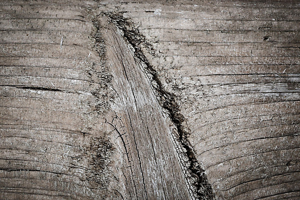 포토 JPG 해외이미지 디자인 벽 가구 백그라운드 패턴 자연 탁자 표면 추상 바닥 프레임 사람없음 목재 갈색 마을 어둠 줄무늬 공백 소나무 판넬 그룹 변화 널 낟알 목수 책상 질감 복고 매듭 목공예 결 전나무 내추럴 수목 옛날 파케트 해외202004 해외포토 나무 직업 컬러 생활용품 컨셉 무늬 재료 공예 생태계 파일형식 이미지허브