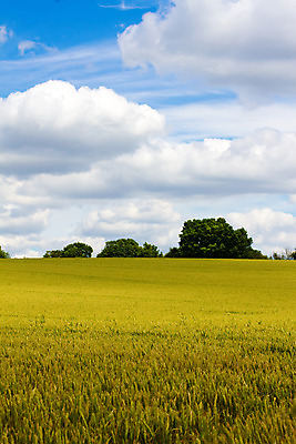 포토 JPG 해외이미지 구름 영어 밭 하늘 영국 풍경 사람없음 파란색 시골 농부 밀 언덕 해외202004 해외포토 자연요소 직업 문자 유럽 컬러 농업 곡류 파일형식 이미지허브
