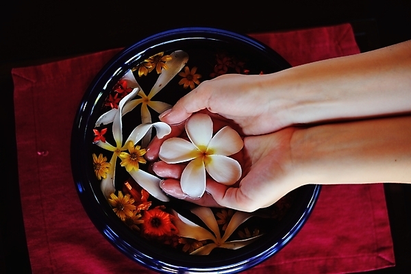 포토 JPG 해외이미지 손 꽃 들기 신체부위 물 수건 스파 손모으기 대야 해외포토 자연요소 식물 모션 사람 손짓 위생용품 파일형식 이미지허브