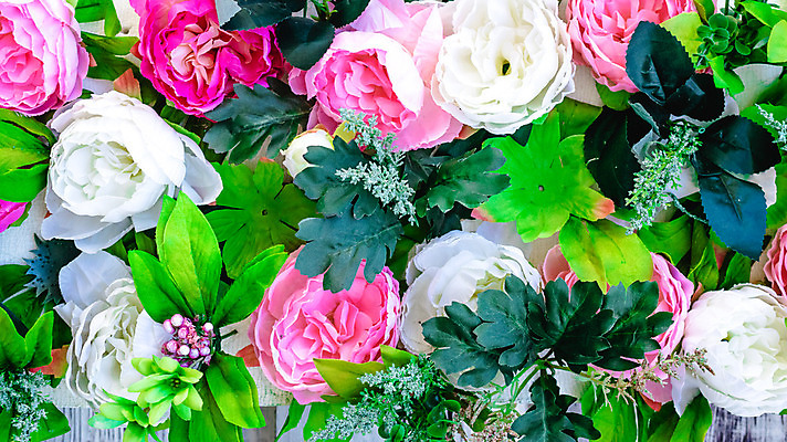 포토 JPG 해외이미지 식물 꽃잎 꽃 분홍색 꽃다발 결혼 꽃무늬 자연 사랑 사람없음 장식 빨간색 초록색 여름 장미 정원 보라색 봄 벚꽃 흰색 다발 배열 고립 해외202004 해외포토 계절 감정 컬러 무늬 이벤트 생태계 파일형식 이미지허브