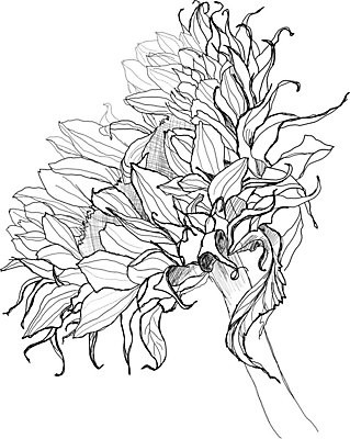 EPS 해외이미지 식물 계절 꽃 야생동물 백그라운드 패턴 일러스트 자연 해바라기 잉크 흑백 그래픽 장식 펜 정원 검은색 흰색 나뭇가지 인쇄 스케치 그림 생물학 판화 옛날 핸드메이드 해외202004 해외일러스트 나무 동물 교육 컬러 무늬 촬영기법 미술 필기구 생태계 파일형식 벡터 이미지허브