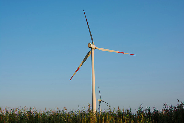포토 JPG 해외이미지 이동 밭 하늘 바람 갈대 사람없음 파란색 탑 금속 힘 재활용 에너지 프로펠러 볼트 봉 공학 해외202004 해외포토 자연요소 식물 건축물 교육 컬러 컨셉 농업 재질 날씨 공구 친환경 파일형식 이미지허브