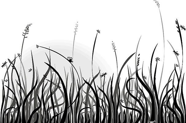 포토 JPG 해외이미지 디자인 나비 백그라운드 아침 흑백 사람없음 태양 검은색 흰색 뼈대 비네팅 해외202004 해외포토 주간 자연요소 컬러 곤충 촬영기법 파일형식 이미지허브