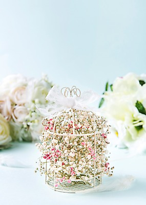 포토 JPG 스튜디오촬영 꽃 결혼 실내 사람없음 아웃포커스 안개꽃 결혼소품 파스텔톤 국내포토 식물 컬러 촬영기법 이벤트 내부 오브젝트 한해살이풀 파일형식