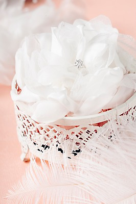 포토 JPG 스튜디오촬영 결혼 실내 사람없음 깃털 결혼반지 결혼소품 코사지 파스텔톤 국내포토 컬러 장신구 이벤트 내부 반지 오브젝트 파일형식