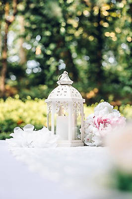 포토 JPG 주간 꽃 결혼 초 사람없음 야외 아웃포커스 결혼소품 국내포토 자연요소 식물 촬영기법 이벤트 오브젝트 파일형식