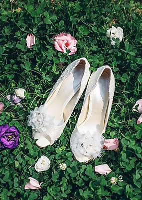 포토 JPG 주간 꽃 구두 결혼 사람없음 야외 클로버 결혼소품 국내포토 자연요소 식물 신발 이벤트 오브젝트 파일형식