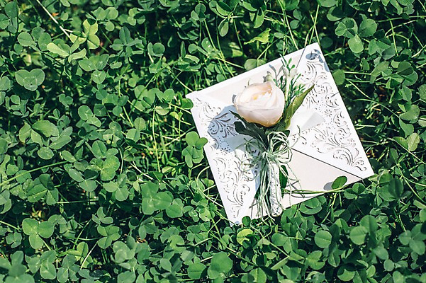 포토 JPG 주간 꽃 배경화면 결혼 사람없음 야외 클로버 청첩장 결혼소품 국내포토 자연요소 식물 카드_감사 이벤트 오브젝트 파일형식