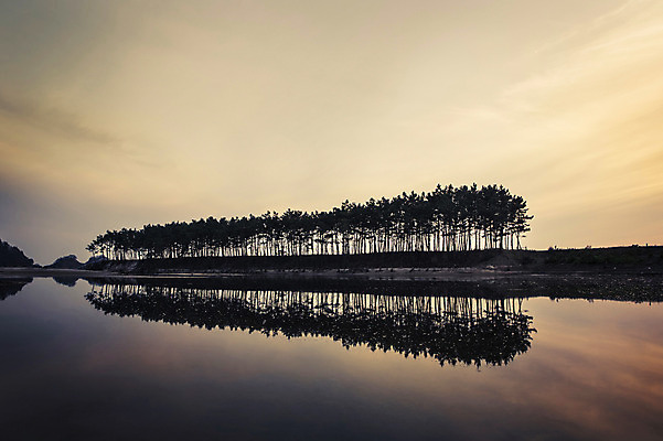 포토 JPG 주간 자연 한국 풍경 해변 사람없음 야외 노을 소나무 태안 솔섬 국내포토 자연요소 나무 아시아 바다 섬 충청남도 생태계 부안 파일형식