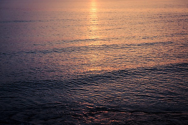 포토 JPG 주간 바다 자연 한국 풍경 사람없음 야외 일출 노을 일몰 태안 솔섬 국내포토 자연요소 아시아 섬 충청남도 생태계 부안 파일형식