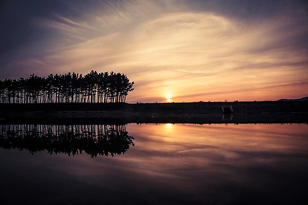 포토 JPG 주간 바다 자연 한국 풍경 사람없음 야외 노을 소나무 태안 솔섬 국내포토 자연요소 나무 아시아 섬 충청남도 생태계 부안 파일형식