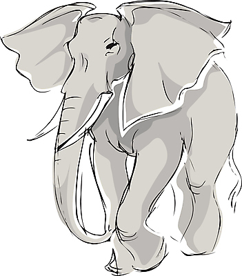 포토 JPG 해외이미지 동물 공원 야생동물 여행 포유류 아프리카 자연 코끼리 동물원 동양인 사람없음 야외 흰색 주름 닫기 큼 서커스 사파리 귀 멸종 고립 이국적 해외202004 해외포토 공공시설 나라 컬러 모션 인종 신체부위 크기 생태계 파일형식 이미지허브