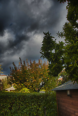 포토 JPG 해외이미지 나무 식물 디자인 계절 백그라운드 단풍 잎 패턴 오렌지 자연 벽지 추상 프레임 건조 풍경 사람없음 야외 장식 빨간색 초록색 갈색 노란색 정원 보라색 활발 가을 나뭇가지 그룹 황금 숲 11월 땅 다발 질감 10월 내추럴 땅바닥 해외202004 해외포토 컬러 컨셉 무늬 과일 바닥 날짜 생태계 파일형식 이미지허브