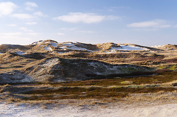 포토 JPG 해외이미지 모래 바다 섬 자연 독일 국립공원 풍경 사람없음 물 세계문화유산 모래언덕 보호구역 해외202004 해외포토 자연요소 공원 유럽 문화재 언덕 생태계 구역 파일형식 이미지허브
