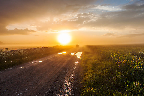 포토 JPG 해외이미지 계절 도로 여행 밭 교통시설 자동차 자연 하늘 아침 풍경 사람없음 야외 초록색 파란색 태양 농장 일출 어둠 일몰 새벽 운전 젖음 추위 안개 고속도로 숲 위험 웅덩이 루트 방법 자동 수평선 해외202004 해외포토 주간 자연요소 길 육상교통 컬러 교통 컨셉 농업 모션 날씨 노을 시설 생태계 파일형식 이미지허브