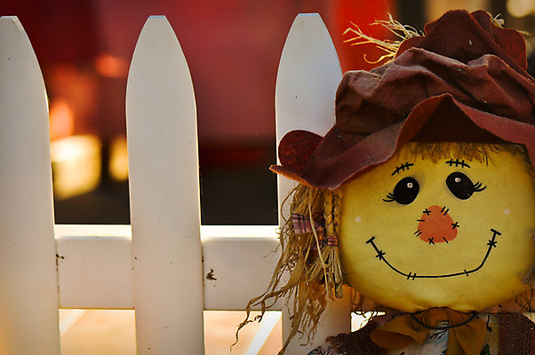 포토 JPG 해외이미지 계절 꽃 음식 부분 호박 날씨 휴가 사람없음 야외 장식 할로윈 수확 성장 가을 변화 먹이 시원함 11월 삼베 질감 추수감사절 밀짚 10월 해외202004 해외포토 식물 기독교 컨셉 농업 채소 날짜 짚 파일형식 천_직물 이미지허브