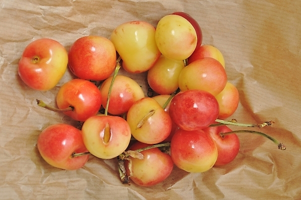 포토 JPG 해외이미지 음식 과일 함께함 사람없음 빨간색 봄 체리 달콤 해외202004 해외포토 계절 컬러 컨셉 맛 파일형식 이미지허브