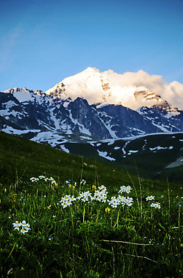 포토 JPG 해외이미지 구름 꽃 포스터 여행 패턴 자연 하늘 산 풍경 사람없음 야외 장식 세로 초록색 여름 파란색 햇빛 계곡 맑음 봄 흰색 개화 언덕 빙하 엽서 암초 산악지대 절정 눈내림 해외202004 해외포토 자연요소 식물 계절 컬러 무늬 날씨 눈_날씨 태양 편지 생태계 파일형식 이미지허브