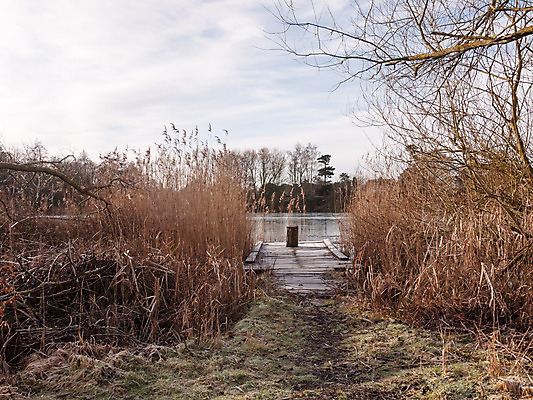 포토 JPG 해외이미지 구름 계절 공원 길 호수 백그라운드 겨울 건축양식 자연 바람 갈대 풍경 취미 사람없음 야외 목재 물 파란색 강 환경 항구 맑음 얼음 봄 산책 하이킹 회색 추위 흰색 연못 널 오솔길 장면 내추럴 해외202004 해외포토 자연요소 나무 식물 공공시설 건축 컬러 재료 교통시설 레저 날씨 휴식 생태계 파일형식 이미지허브