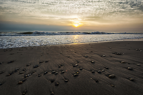포토 JPG 해외이미지 구름 공원 야생동물 파도 바다 여행 자연 바람 날씨 휴가 덴마크 국립공원 풍경 사람없음 야외 물 여름 모래사장 평화 환경 일몰 자유 서핑 황무지 클래식 고독 저녁 즐거움 드라마 멀리 기후변화 수평선 해외202004 해외포토 자연요소 동물 계절 공공시설 감정 컨셉 북유럽 노을 수상스포츠 변화 야간 생태계 파일형식 이미지허브