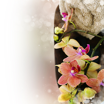 포토 JPG 해외이미지 꽃 사람없음 수건 스파 보케 스파용품 카피스페이스 해외포토 식물 위생용품 공백 오브젝트 파일형식 이미지허브