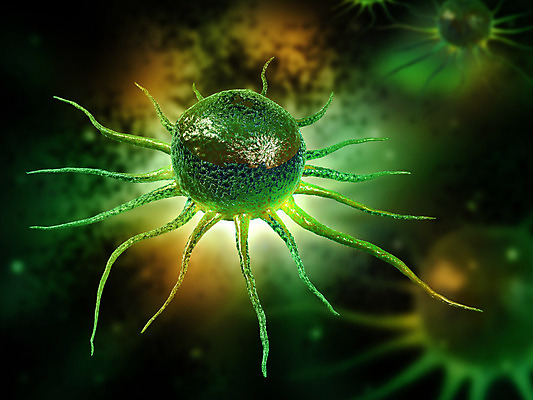 포토 JPG 해외이미지 줄기 백그라운드 일러스트 모션 상상 추상 세포 사람없음 그래픽 파란색 3D 디지털 오르간 만들기 유전 조작 셀룰러 효과 해외202004 해외포토 식물 컬러 무늬 건반악기 디지털합성 파일형식 이미지허브