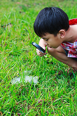 포토 JPG 해외이미지 라이프스타일 응시 행복 어린이 장난 자연 유리 놀이 돋보기 한명 사람 동양인 소년 야외 세로 초록색 청춘 기쁨 탐험 관찰 잡기 확대 거미줄 검색 호기심 탐사 발견 내추럴 해외202004 해외포토 1 시선 남자 감정 컬러 컨셉 모션 재질 인종 생활 생태계 파일형식 이미지허브