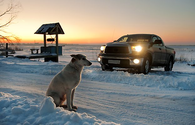 포토 JPG 해외이미지 동물 응시 계절 도로 지구 여행 백그라운드 겨울 포유류 교통시설 자동차 자연 날씨 피곤 사람없음 야외 반려동물 기계 일몰 새벽 장비 추위 흰색 기다림 개 큼 12월 서리 러시아 북쪽 짐차 무거움 송곳니 해외202004 해외포토 자연요소 시선 유럽 길 육상교통 컬러 교통 컨셉 모션 노을 날짜 무게 치아 크기 방향 시설 생태계 파일형식 이미지허브
