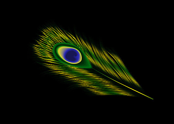포토 JPG 해외이미지 디자인 일러스트 자연 조류 미술 사람없음 그래픽 장식 초록색 파란색 빛 반려동물 노란색 검은색 활발 유머 우아함 공작 깃털 오브젝트 싱글 그림 꼬리 솜털 고립 멀티 엘리먼트 해외202004 해외포토 동물 감정 컬러 컨셉 문화예술 생태계 파일형식 이미지허브