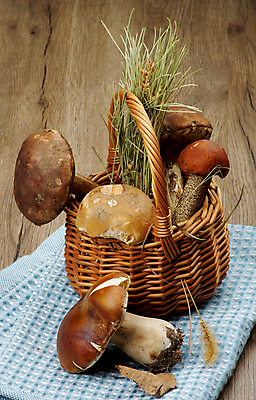 포토 JPG 해외이미지 채소 오렌지 재료 사람없음 파란색 갈색 노란색 버섯 흰색 신선 황금 유기농 질감 냅킨 흙더미 그물버섯 숙성 채식주의자 해외202004 해외포토 웰빙 컬러 과일 흙 채식 파일형식 더미 이미지허브