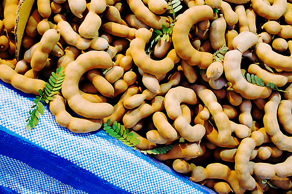 포토 JPG 해외이미지 음식 과일 재료 태국 자연 건강 동양인 사람없음 갈색 껍질 흰색 신선 시장 닫기 달콤 유기농 날것 내추럴 꼬투리 숙성 많음 해외202004 해외포토 웰빙 아시아 컬러 컨셉 모션 인종 맛 생태계 파일형식 이미지허브