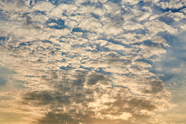 포토 JPG 해외이미지 구름 백그라운드 컨셉 오렌지 자연 벽지 하늘 따뜻함 풍경 사람없음 여름 파란색 빛 컬러풀 태양 노란색 우주 일출 맑음 일몰 새벽 흰색 황금 장면 신성 천국 파라다이스 해외202004 해외포토 자연요소 계절 컬러 과일 날씨 노을 생태계 파일형식 이미지허브