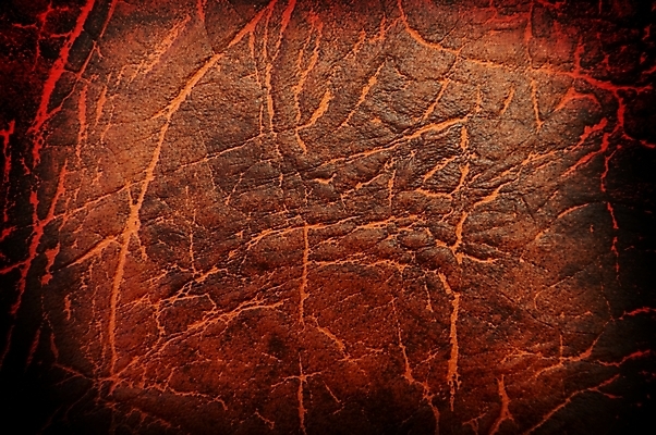 포토 JPG 해외이미지 동물 디자인 옷 백그라운드 패턴 자연 벽지 표면 날씨 추상 프레임 사람없음 갈색 어둠 수확 덮개 직물 거친 주름 고급 선탠 가죽 피부 묘사 질감 복고 날것 결 내추럴 그런지 소가죽 양피지 옛날 울퉁불퉁 진짜 해외202004 해외포토 컬러 컨셉 무늬 농업 신체부위 뚜껑 생태계 파일형식 이미지허브