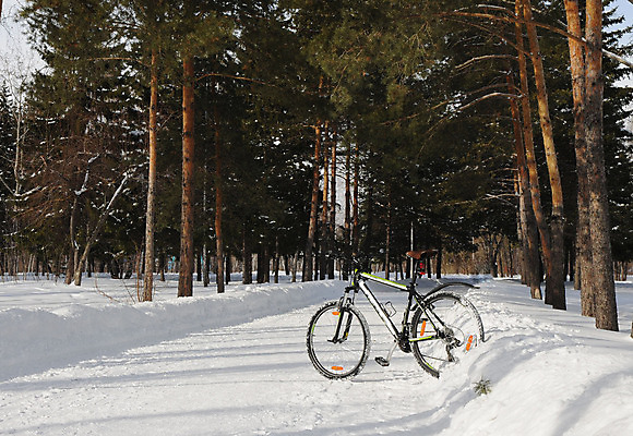 포토 JPG 해외이미지 나무 라이프스타일 공원 도로 길 스포츠 겨울 자국 날씨 새해 풍경 사람없음 야외 초록색 자전거 얼음 사막 추위 자유 소나무 숲 12월 익스트림스포츠 서리 침엽수 사이클링 거인 방법 해외202004 해외포토 자연요소 식물 계절 공공시설 컬러 컨셉 교통시설 생활 바이크 날짜 육상스포츠 파일형식 이미지허브
