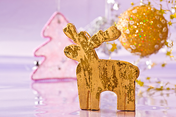 포토 JPG 해외이미지 별 백그라운드 크리스마스 공 휴가 사슴 새해 사람없음 장식 화환 축하 전나무 여의주 인공 해외202004 해외포토 자연요소 나무 기념일 꽃 컨셉 포유류 파일형식 이미지허브