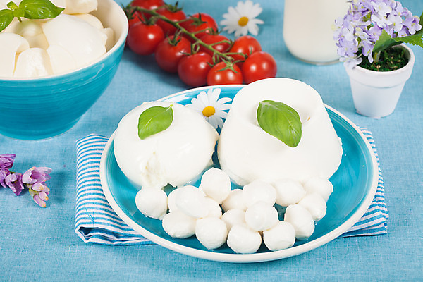 포토 JPG 해외이미지 접시 음식 백그라운드 다이어트 토마토 방울토마토 치즈 건강 사람없음 빨간색 파란색 봄 이탈리아 우유 흰색 신선 사발 순수 바질 모짜렐라치즈 해외202004 해외포토 식기 계절 유럽 컬러 컨셉 채소 유제품 사기그릇 파일형식 이미지허브