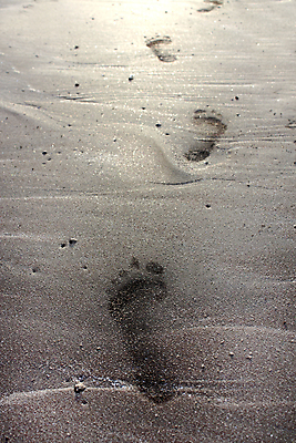 포토 JPG 해외이미지 모래 사람없음 젖음 역사 발자국 각인 해외202004 해외포토 자국 파일형식 이미지허브