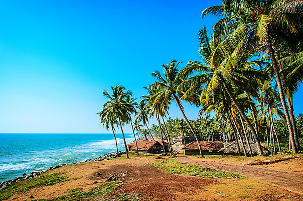 포토 JPG 해외이미지 나무 아시아 도로 모래 바다 여행 자연 하늘 휴가 휴식 주택 바나나 손바닥 풍경 사람없음 초록색 물 여름 파란색 농장 여행객 평화 마을 환경 맑음 바위 오두막 인도인 어부 휴양지 코코넛 이국적 케랄라주 파라다이스 해외202004 해외포토 자연요소 외국인 식물 직업 손 계절 나라 길 컬러 컨셉 농업 과일 교통시설 날씨 사람 동양인 건물 장소 돌_바위 인도_나라 생태계 파일형식 이미지허브